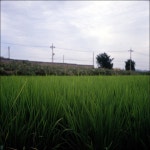 빛으로 만드는 우리들의 행복한 세상 (Happy World Pentaxclub)