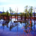빛으로 만드는 우리들의 행복한 세상 (Happy World Pentaxclub)