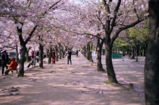 빛으로 만드는 우리들의 행복한 세상 (Happy World Pentaxclub)