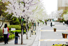 빛으로 만드는 우리들의 행복한 세상 (Happy World Pentaxclub)