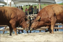 빛으로 만드는 우리들의 행복한 세상 (Happy World Pentaxclub)