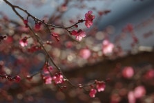 빛으로 만드는 우리들의 행복한 세상 (Happy World Pentaxclub)