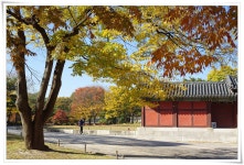 빛으로 만드는 우리들의 행복한 세상 (Happy World Pentaxclub)