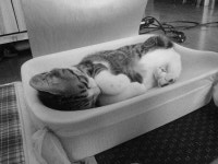 빛으로 만드는 우리들의 행복한 세상 (Happy World Pentaxclub)