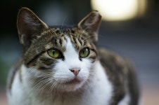 빛으로 만드는 우리들의 행복한 세상 (Happy World Pentaxclub)