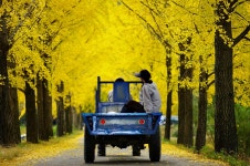 빛으로 만드는 우리들의 행복한 세상 (Happy World Pentaxclub)