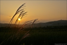 빛으로 만드는 우리들의 행복한 세상 (Happy World Pentaxclub)