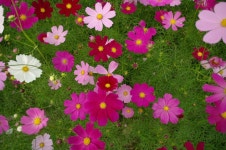 빛으로 만드는 우리들의 행복한 세상 (Happy World Pentaxclub)