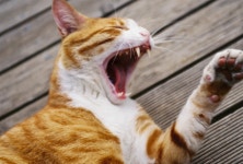 빛으로 만드는 우리들의 행복한 세상 (Happy World Pentaxclub)