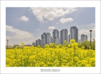 빛으로 만드는 우리들의 행복한 세상 (Happy World Pentaxclub)