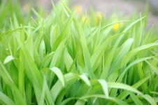 빛으로 만드는 우리들의 행복한 세상 (Happy World Pentaxclub)