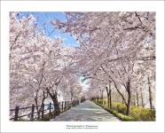 빛으로 만드는 우리들의 행복한 세상 (Happy World Pentaxclub)