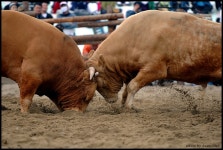 빛으로 만드는 우리들의 행복한 세상 (Happy World Pentaxclub)