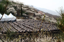 빛으로 만드는 우리들의 행복한 세상 (Happy World Pentaxclub)