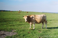 빛으로 만드는 우리들의 행복한 세상 (Happy World Pentaxclub)