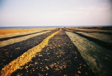 빛으로 만드는 우리들의 행복한 세상 (Happy World Pentaxclub)