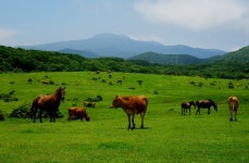 빛으로 만드는 우리들의 행복한 세상 (Happy World Pentaxclub)