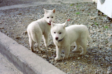 빛으로 만드는 우리들의 행복한 세상 (Happy World Pentaxclub)