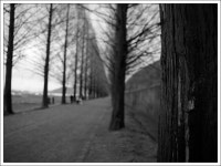 빛으로 만드는 우리들의 행복한 세상 (Happy World Pentaxclub)