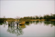 빛으로 만드는 우리들의 행복한 세상 (Happy World Pentaxclub)