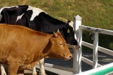 빛으로 만드는 우리들의 행복한 세상 (Happy World Pentaxclub)