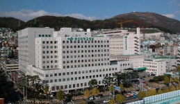 병원소식 게시판목록 | 부산대학교병원-메인