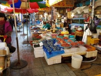 포항 Greenstory > 그린웨이의 죽도시장과 과메기~~~ 게시물 상세보기 [포항 GreenStory] 죽도시장과 과메기~~~