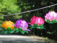 730 HS 보케는...  - 팝코넷 | 자유게시판 730 HS 보케는...