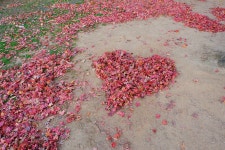 [X-A3] 편안한 잠자리를 위한,,,, - 후지필름 Talk [X-A3] 편안한 잠자리를 위한,,,,