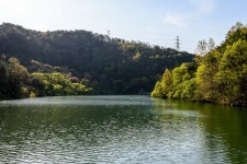 [D4s+35N]입곡공원의 봄 - 니콘 Talk[D4s+35N]입곡공원의 봄