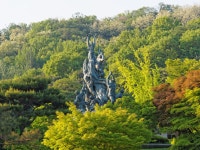 [E-M5] 현충원 이팝나무길, 서래섬 유채꽃밭 (데이터주의) - 올림푸스 Talk[E-M5] 현충원 이팝나무길, 서래섬 유채꽃밭 (데이터주의)