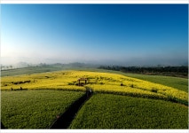 [nx1, 12-24]  학원농장의 아침.. - 삼성 Talk [nx1, 12-24]  학원농장의 아침..