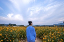 [A7+FE1635] 양주 나리공원 나들이 - 팝코넷 | 팝게&톡 이슈게시판 [A7+FE1635] 양주 나리공원 나들이