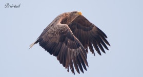 [타] 닉변 신고합니다 ㄷㄷㄷㄷㄷㄷ - 소니 Talk[타] 닉변 신고합니다 ㄷㄷㄷㄷㄷㄷ