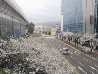 오늘자 양산역 풍경 - 팝코넷 | 모바일 갤러리오늘자 양산역 풍경