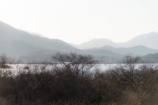 동판저수지 - 팝코넷 | 포토 갤러리동판저수지