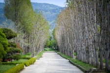 경주 산림환경 연구원경주 산림환경 연구원 - 팝코넷 | 포토 갤러리