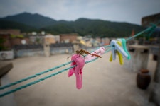 [10mm,F/2.8] 빨래줄에 앉은 잠자리 - 삼양 Talk[10mm,F/2.8] 빨래줄에 앉은 잠자리