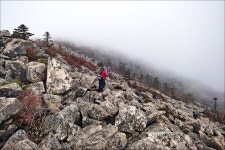 sd15)추색완연한 설악 서북능선- # 2 - 팝코넷 | 베스트 게시판sd15)추색완연한 설악 서북능선- # 2