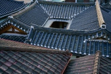 소니 FE 50mm f2.8 마크로 리뷰 - 유저 사용기 소니 FE 50mm f2.8 마크로 리뷰