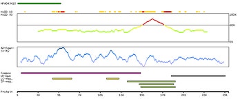 PABPN1L - Antibodies - The Human Protein Atlas