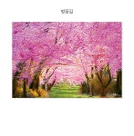 1000피스 직소퍼즐 - 벚꽃길 | 퍼즐 | 주식회사 퍼즐사랑 - 예스24