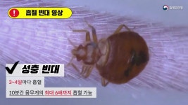 영상홍보물 | 정보마당 | 평택시 평택보건소