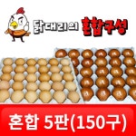 모바일 랭킹닭컴 랭킹닭컴