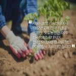 비대면 콘텐츠 행복텃밭 가꾸기.