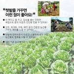 비대면 콘텐츠 행복텃밭 가꾸기.