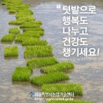 비대면 콘텐츠 행복텃밭 가꾸기.
