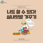 비대면 콘텐츠 실내텃밭 가꾸기 - 기초편