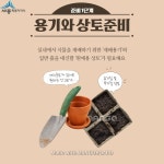비대면 콘텐츠 실내텃밭 가꾸기 - 기초편