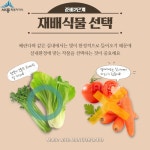 비대면 콘텐츠 실내텃밭 가꾸기 - 기초편